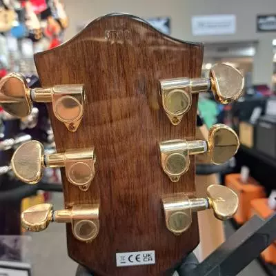 GRETSCH G2657TG IMPERIAL STAIN 2